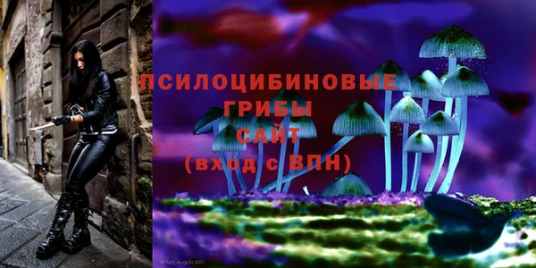 хмурый Дмитриев